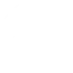 img-responsivo